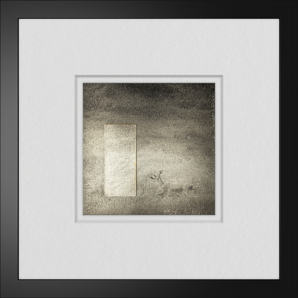 © Nicola Hackl-Haslinger, The Invitation II, 2024