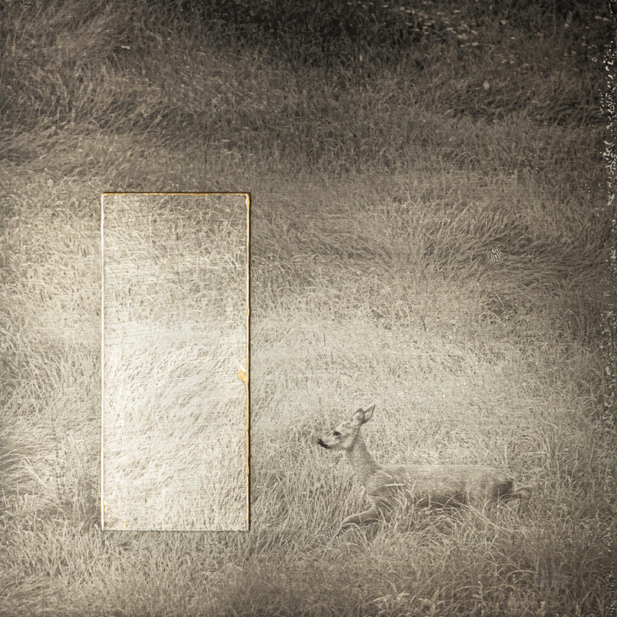 Featured image of post L.A. PHOTO CURATOR - HONORABLE MENTION FOR "THE INVITATION II"