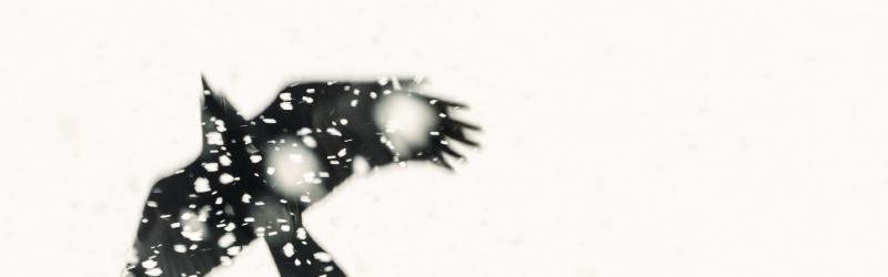 Featured image of post EXHIBITION "WHITE NOISE"